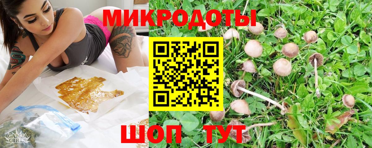 Галлюциногенные грибы Psilocybe  Вход с VPN  Семёнов  Псилоцибиновые грибы мицелий 